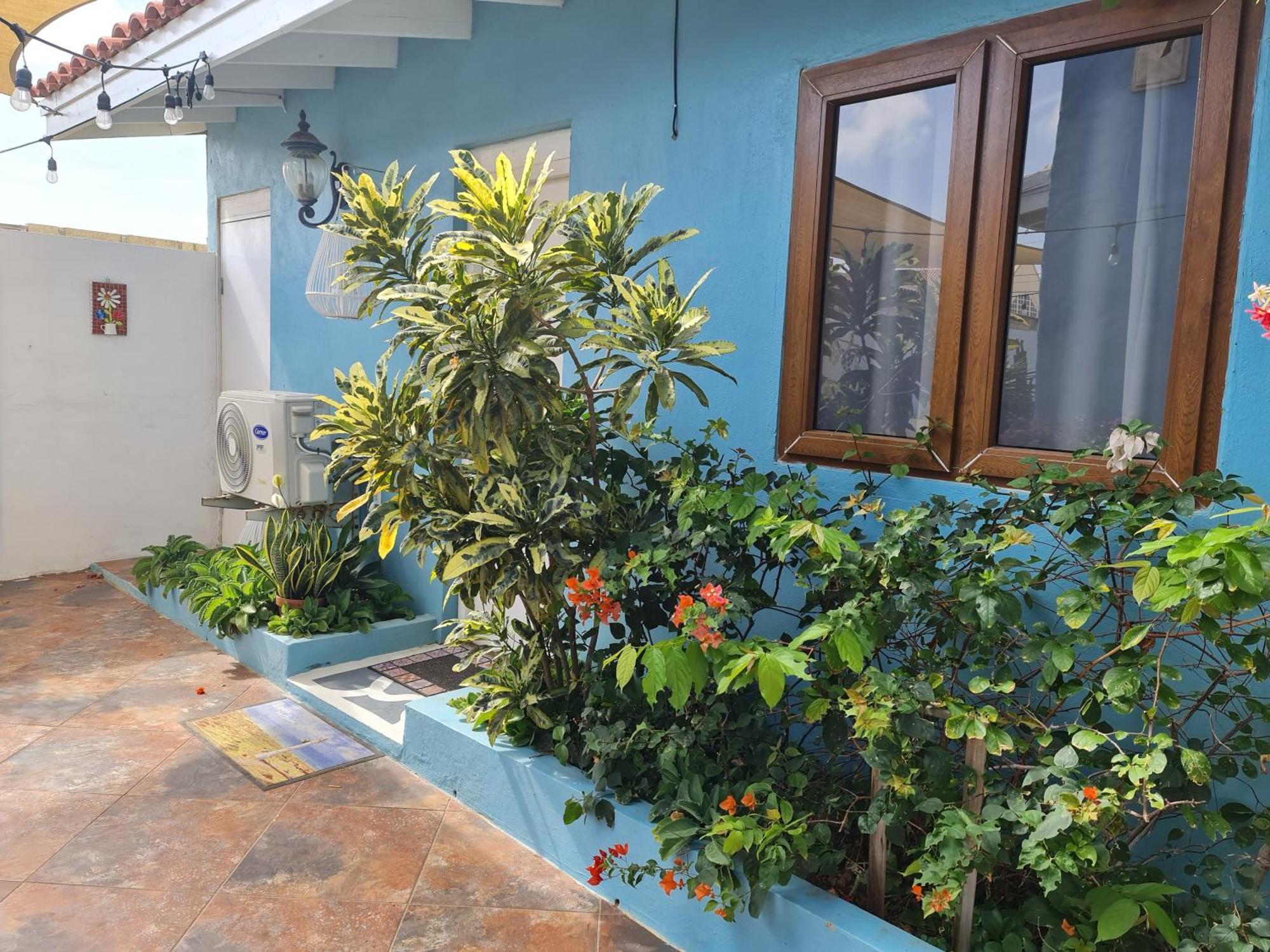 Sandcastle Beach Apartments パームビーチ エクステリア 写真