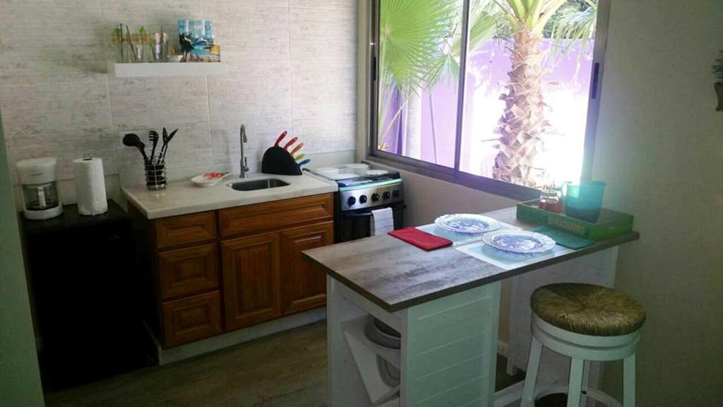 Sandcastle Beach Apartments パームビーチ エクステリア 写真