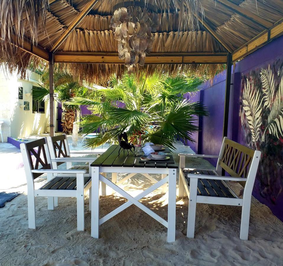 Sandcastle Beach Apartments パームビーチ エクステリア 写真